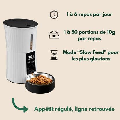 Distributeur Rythme Félin