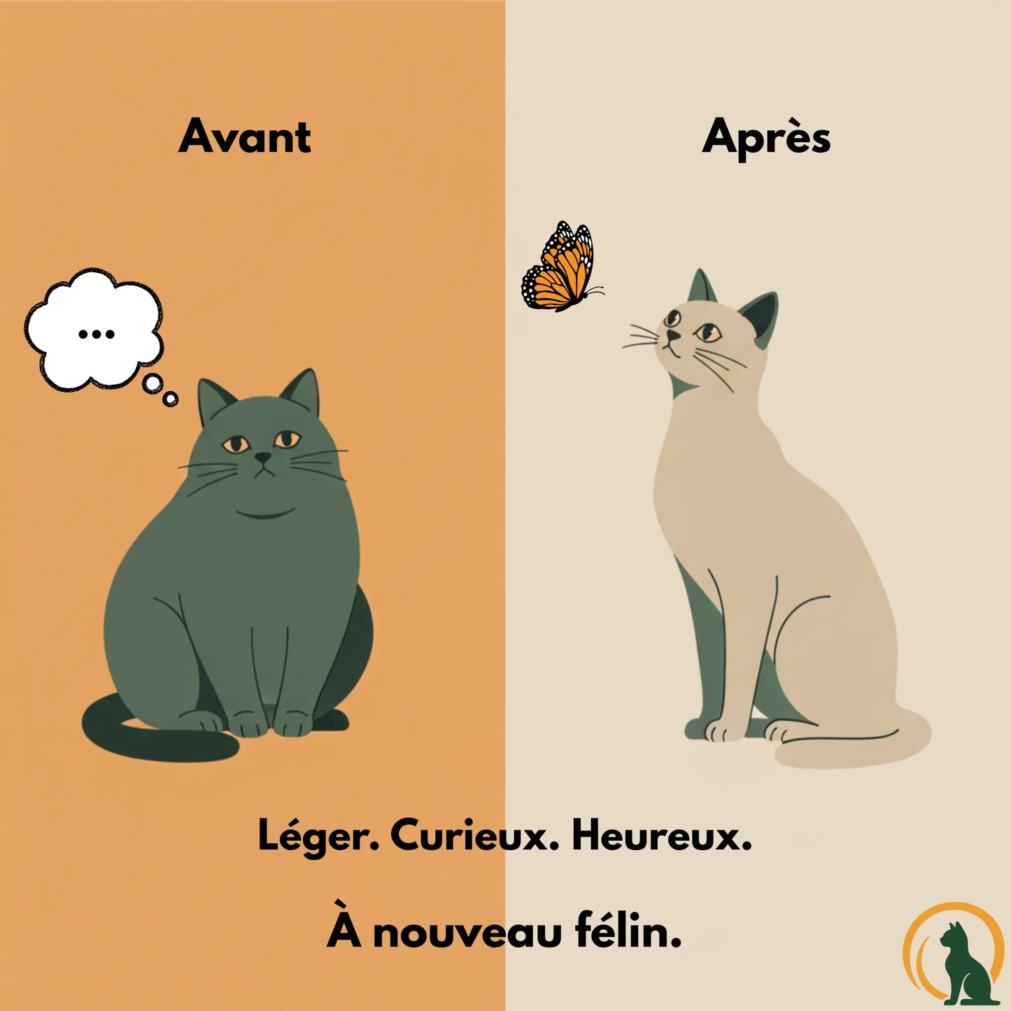 Distributeur Rythme Félin