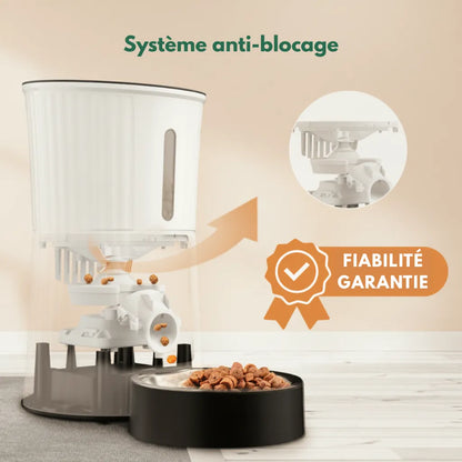 Distributeur Rythme Félin