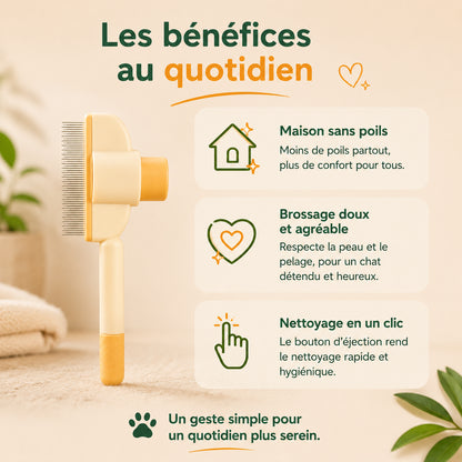 Brosse anti-poils FelyBrush™