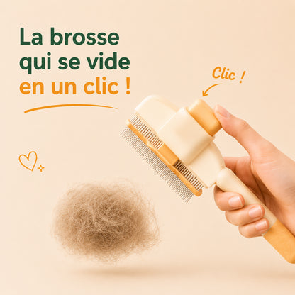 Brosse anti-poils FelyBrush™