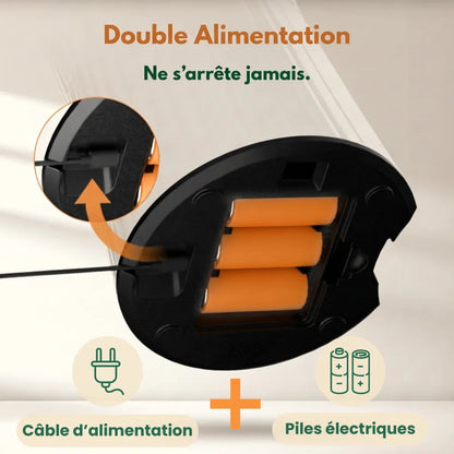 Distributeur Rythme Félin