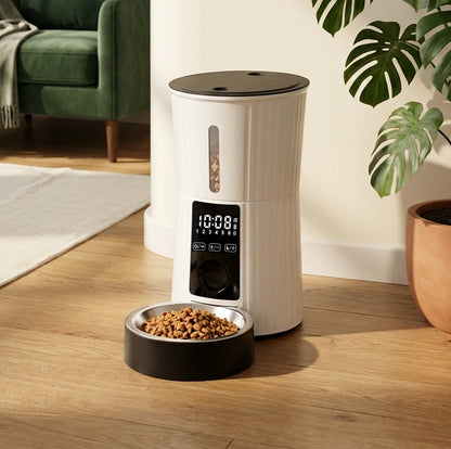 Distributeur Rythme Félin