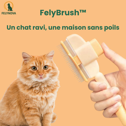 Brosse anti-poils FelyBrush™