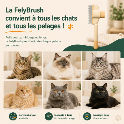 Brosse anti-poils FelyBrush™