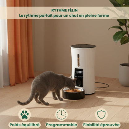 Distributeur Rythme Félin