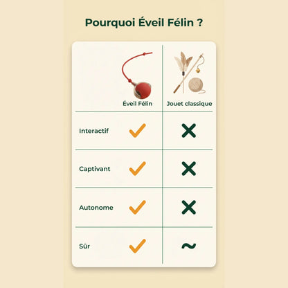 Balle Éveil Félin